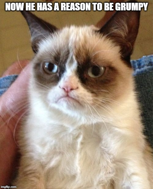 Grumpy Cat | NOW HE HAS A REASON TO BE GRUMPY | image tagged in memes,grumpy cat | made w/ Imgflip meme maker