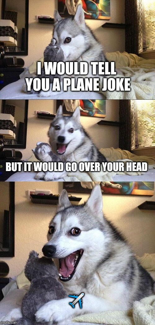 Bad Pun Dog | I WOULD TELL YOU A PLANE JOKE; BUT IT WOULD GO OVER YOUR HEAD; ✈️ | image tagged in memes,bad pun dog | made w/ Imgflip meme maker