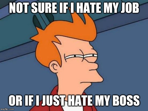 Futurama Fry | NOT SURE IF I HATE MY JOB; OR IF I JUST HATE MY BOSS | image tagged in memes,futurama fry | made w/ Imgflip meme maker