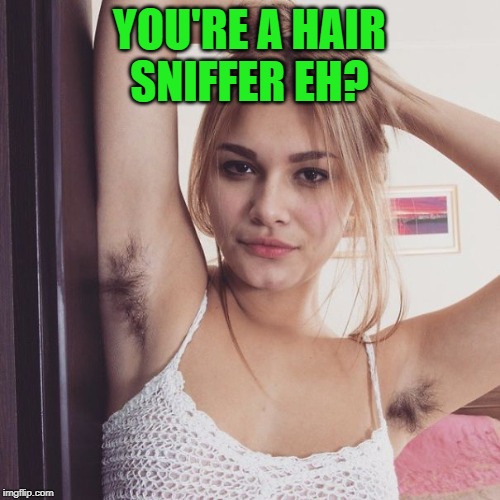 armpit hair | YOU'RE A HAIR SNIFFER EH? | image tagged in armpit hair | made w/ Imgflip meme maker