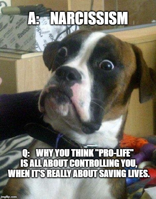 I bet you think this song is about you | A:    NARCISSISM; Q:    WHY YOU THINK "PRO-LIFE" IS ALL ABOUT CONTROLLING YOU, WHEN IT'S REALLY ABOUT SAVING LIVES. | image tagged in abortion,pro-choice,pro-life | made w/ Imgflip meme maker