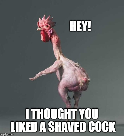 HEY! I THOUGHT YOU LIKED A SHAVED COCK | made w/ Imgflip meme maker