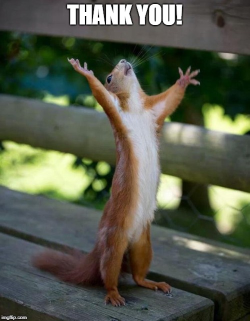 Happy Squirrel | THANK YOU! | image tagged in happy squirrel | made w/ Imgflip meme maker