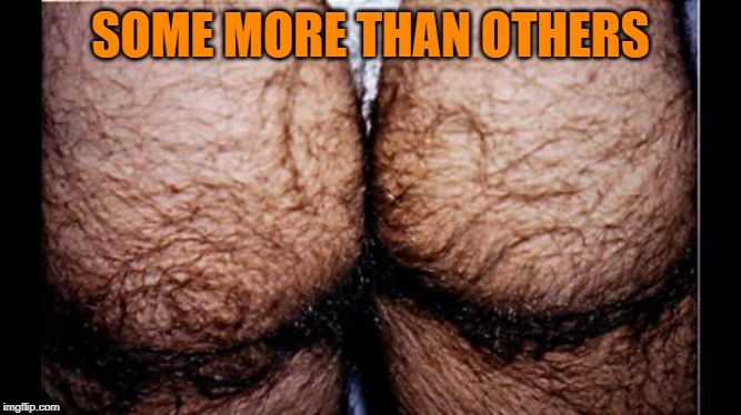 Hairy Butt | SOME MORE THAN OTHERS | image tagged in hairy butt | made w/ Imgflip meme maker