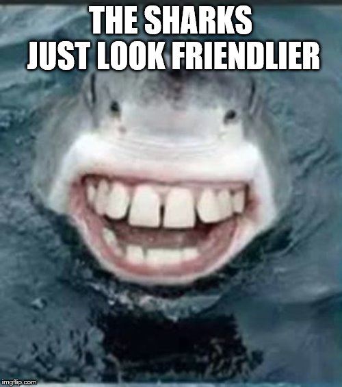 THE SHARKS JUST LOOK FRIENDLIER | made w/ Imgflip meme maker