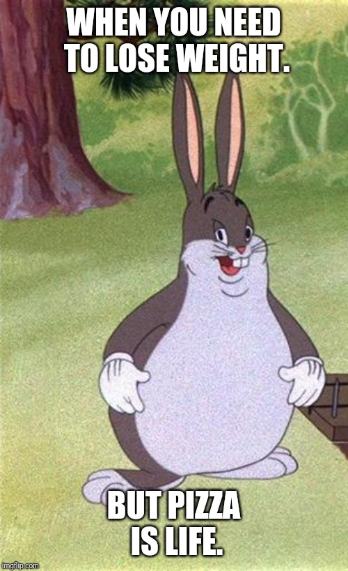 Big Chungus | WHEN YOU NEED TO LOSE WEIGHT. BUT PIZZA IS LIFE. | image tagged in big chungus | made w/ Imgflip meme maker