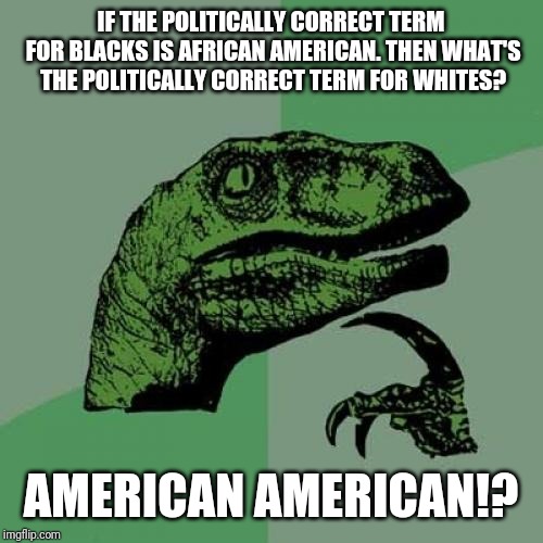 Ameruca F@$% Yea! :) | IF THE POLITICALLY CORRECT TERM FOR BLACKS IS AFRICAN AMERICAN. THEN WHAT'S THE POLITICALLY CORRECT TERM FOR WHITES? AMERICAN AMERICAN!? | image tagged in memes,philosoraptor,america,funny,race,usa | made w/ Imgflip meme maker