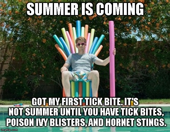 Summer is coming | SUMMER IS COMING; GOT MY FIRST TICK BITE.
IT'S NOT SUMMER UNTIL YOU HAVE TICK BITES, POISON IVY BLISTERS, AND HORNET STINGS. | image tagged in summer is coming | made w/ Imgflip meme maker