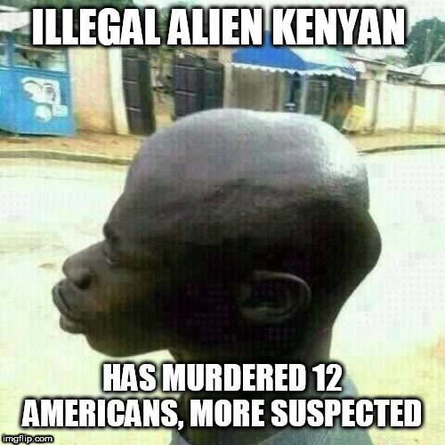 NIGNOG Blank Meme Template