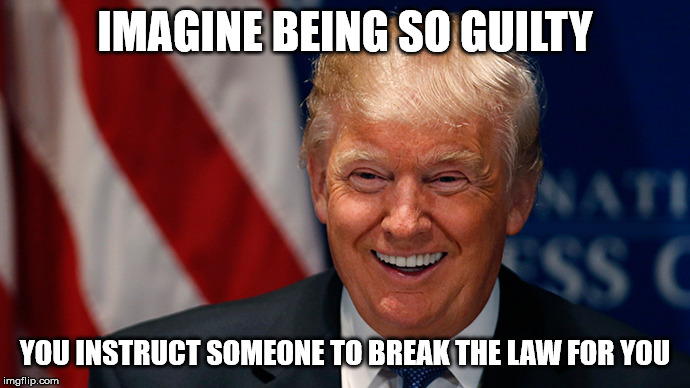 Laughing Donald Trump | IMAGINE BEING SO GUILTY; YOU INSTRUCT SOMEONE TO BREAK THE LAW FOR YOU | image tagged in laughing donald trump | made w/ Imgflip meme maker