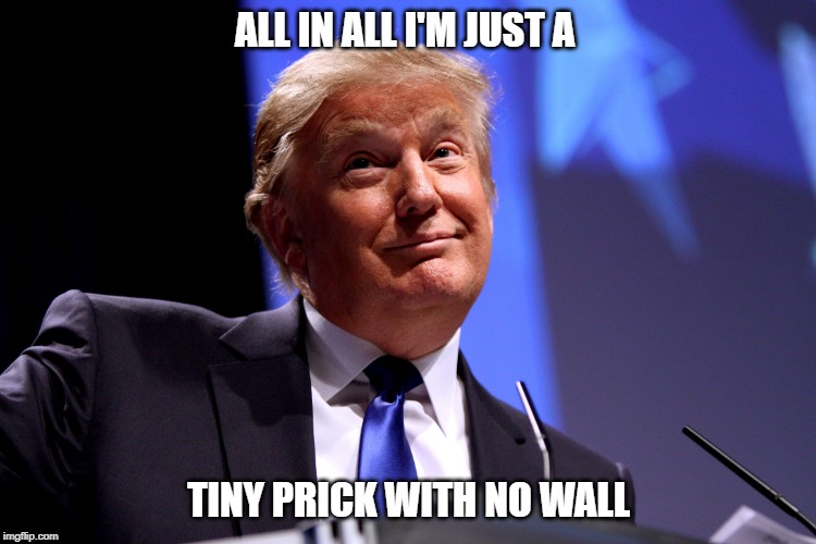 Donald Trump No2 | ALL IN ALL I'M JUST A; TINY PRICK WITH NO WALL | image tagged in donald trump no2 | made w/ Imgflip meme maker