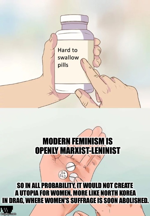 Hard To Swallow Pills | MODERN FEMINISM IS OPENLY MARXIST-LENINIST; SO IN ALL PROBABILITY, IT WOULD NOT CREATE A UTOPIA FOR WOMEN, MORE LIKE NORTH KOREA IN DRAG, WHERE WOMEN'S SUFFRAGE IS SOON ABOLISHED. | image tagged in memes,hard to swallow pills | made w/ Imgflip meme maker
