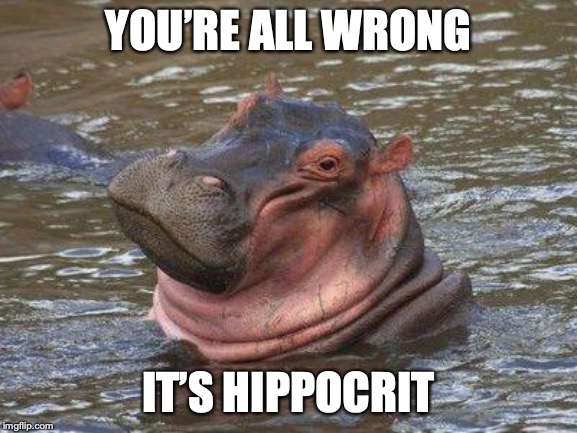 smiling hippo | YOU’RE ALL WRONG IT’S HIPPOCRIT | image tagged in smiling hippo | made w/ Imgflip meme maker