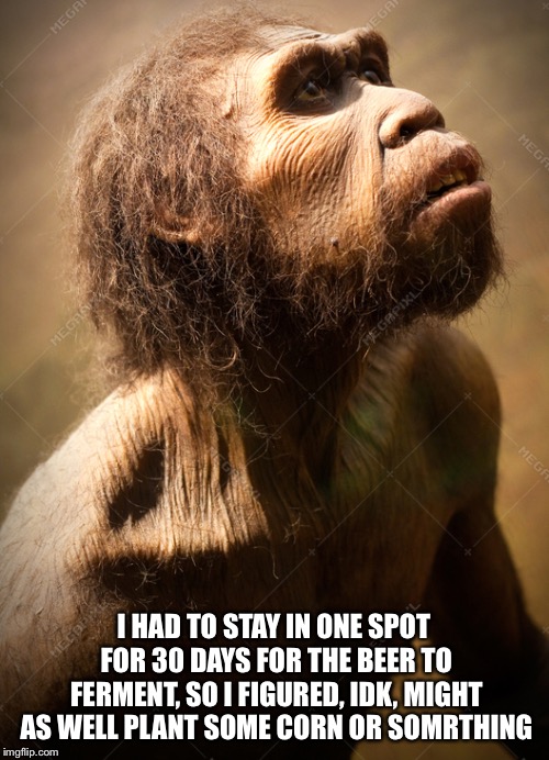 Cave Man | I HAD TO STAY IN ONE SPOT FOR 30 DAYS FOR THE BEER TO FERMENT, SO I FIGURED, IDK, MIGHT AS WELL PLANT SOME CORN OR SOMETHING | image tagged in cave man | made w/ Imgflip meme maker