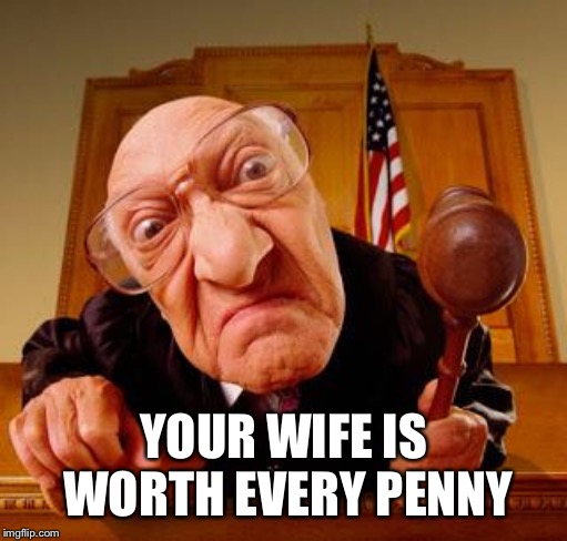 Mean Judge | YOUR WIFE IS WORTH EVERY PENNY | image tagged in mean judge | made w/ Imgflip meme maker