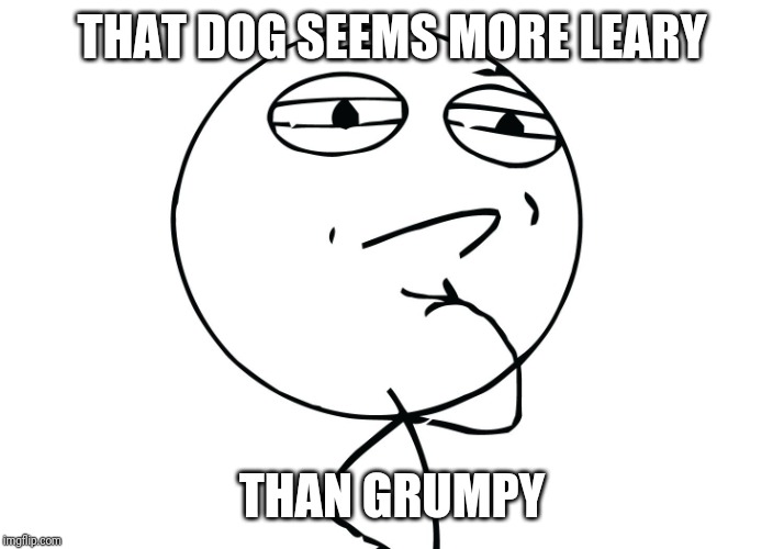 challenge considered | THAT DOG SEEMS MORE LEARY THAN GRUMPY | image tagged in challenge considered | made w/ Imgflip meme maker