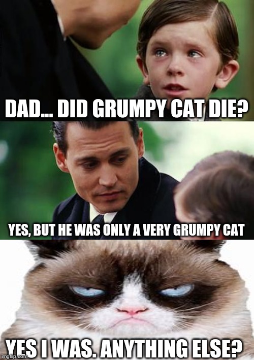 R.I.P. Grumpy cat. You were grumpy until the end | DAD... DID GRUMPY CAT DIE? YES, BUT HE WAS ONLY A VERY GRUMPY CAT; YES I WAS. ANYTHING ELSE? | image tagged in memes,finding neverland,funny | made w/ Imgflip meme maker