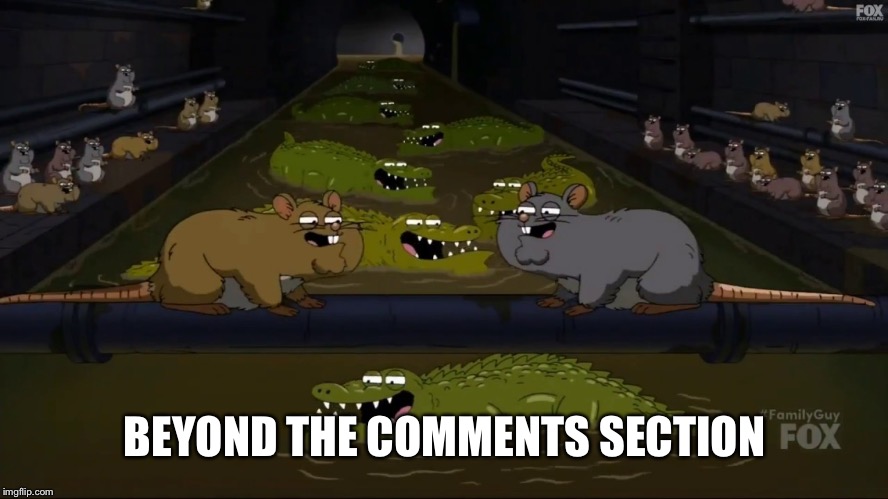 BEYOND THE COMMENTS SECTION | made w/ Imgflip meme maker