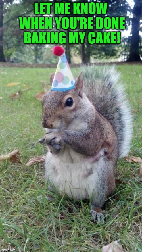 Super Birthday Squirrel Meme | LET ME KNOW WHEN YOU'RE DONE BAKING MY CAKE! | image tagged in memes,super birthday squirrel | made w/ Imgflip meme maker