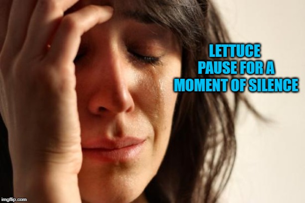 First World Problems Meme | LETTUCE PAUSE FOR A MOMENT OF SILENCE | image tagged in memes,first world problems | made w/ Imgflip meme maker