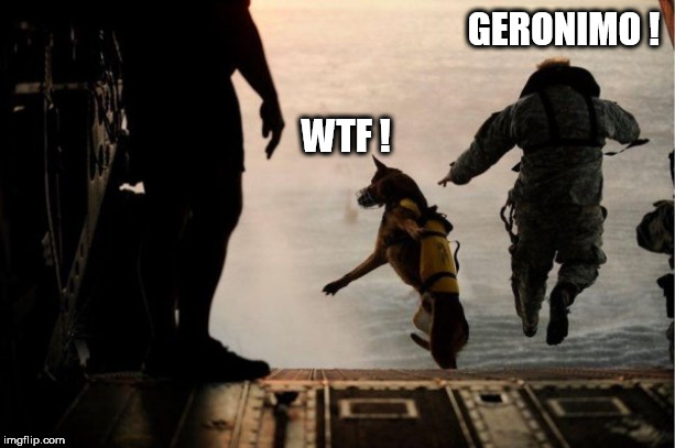 jump | GERONIMO ! WTF ! | image tagged in jump | made w/ Imgflip meme maker
