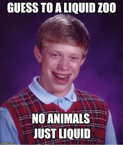 Bad Luck Brian Meme | GUESS TO A LIQUID ZOO NO ANIMALS JUST LIQUID | image tagged in memes,bad luck brian | made w/ Imgflip meme maker