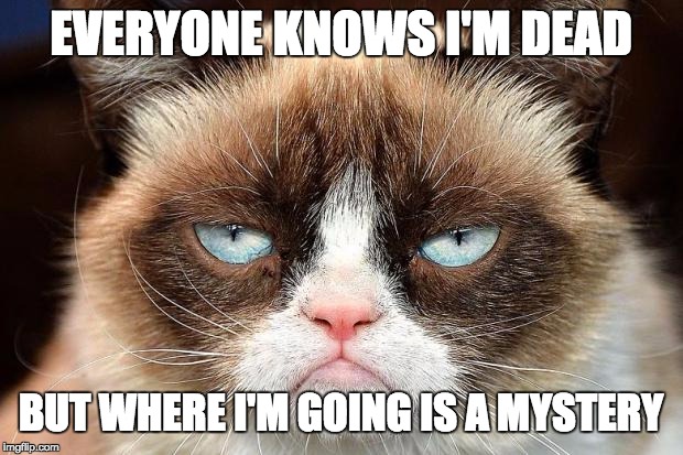 Grumpy Cat Not Amused Meme | EVERYONE KNOWS I'M DEAD; BUT WHERE I'M GOING IS A MYSTERY | image tagged in memes,grumpy cat not amused,grumpy cat | made w/ Imgflip meme maker