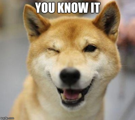 wink doge | YOU KNOW IT | image tagged in wink doge | made w/ Imgflip meme maker