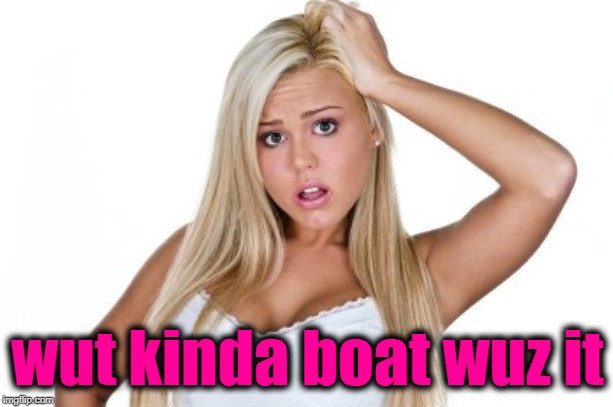 Dumb Blonde | wut kinda boat wuz it | image tagged in dumb blonde | made w/ Imgflip meme maker