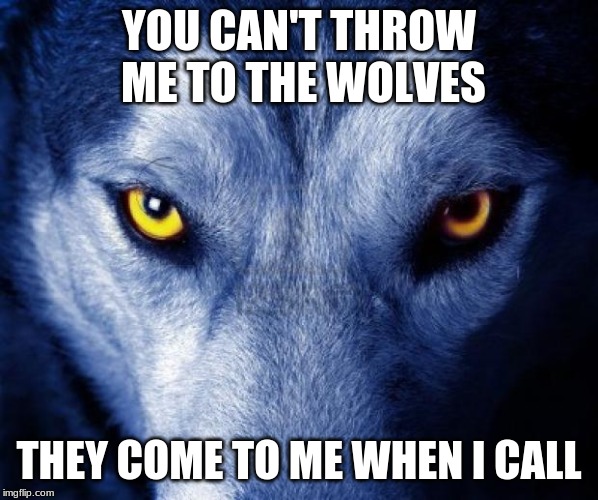 wolf | YOU CAN'T THROW ME TO THE WOLVES; THEY COME TO ME WHEN I CALL | image tagged in wolf | made w/ Imgflip meme maker
