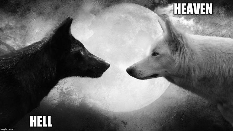 light vs dark wolves | HEAVEN; HELL | image tagged in light vs dark wolves | made w/ Imgflip meme maker