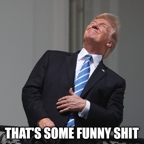 Trump looks at the sun | THAT'S SOME FUNNY SHIT | image tagged in trump looks at the sun | made w/ Imgflip meme maker