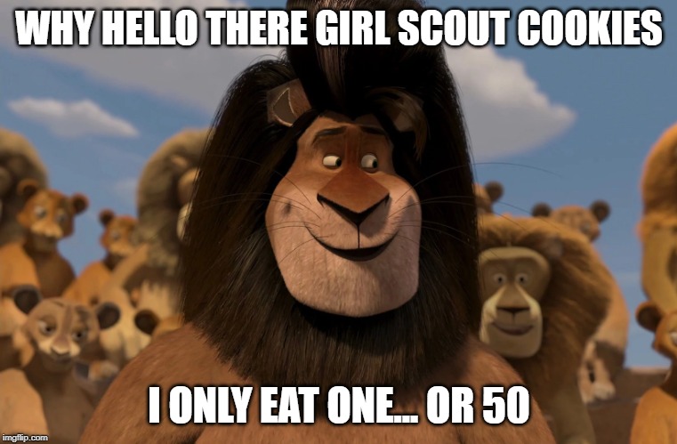 Makunga Cookies | WHY HELLO THERE GIRL SCOUT COOKIES; I ONLY EAT ONE... OR 50 | image tagged in makunga,cookies,lion,madagascar,memes | made w/ Imgflip meme maker