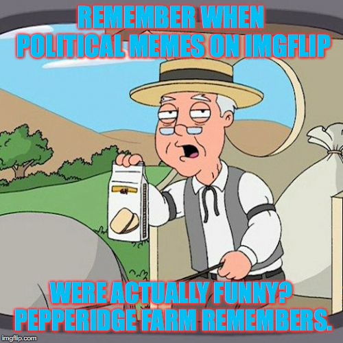I know, I'm a hypocrite. | REMEMBER WHEN POLITICAL MEMES ON IMGFLIP; WERE ACTUALLY FUNNY? PEPPERIDGE FARM REMEMBERS. | image tagged in memes,pepperidge farm remembers,political memes | made w/ Imgflip meme maker