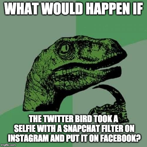 social media inception | WHAT WOULD HAPPEN IF; THE TWITTER BIRD TOOK A SELFIE WITH A SNAPCHAT FILTER ON INSTAGRAM AND PUT IT ON FACEBOOK? | image tagged in memes,philosoraptor | made w/ Imgflip meme maker