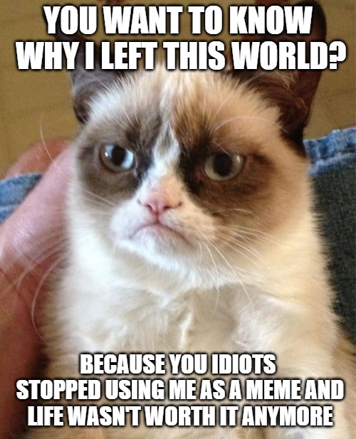 He was no longer in the top templates so I guess he just couldn't take it well. | YOU WANT TO KNOW WHY I LEFT THIS WORLD? BECAUSE YOU IDIOTS STOPPED USING ME AS A MEME AND LIFE WASN'T WORTH IT ANYMORE | image tagged in memes,grumpy cat | made w/ Imgflip meme maker