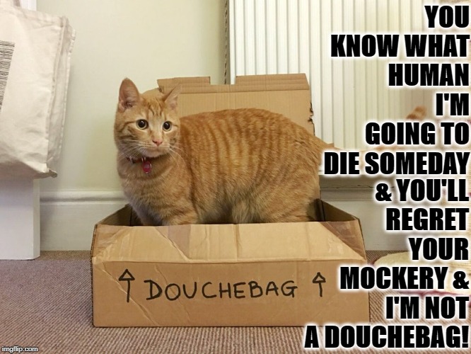 DOUCHEBAG | YOU KNOW WHAT HUMAN I'M GOING TO DIE SOMEDAY; & YOU'LL REGRET YOUR MOCKERY & I'M NOT A DOUCHEBAG! | image tagged in douchebag | made w/ Imgflip meme maker