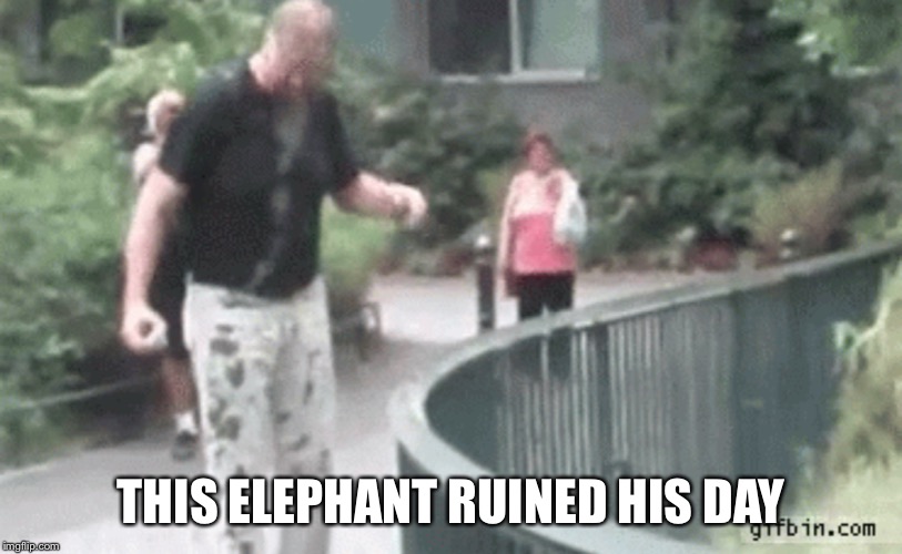 THIS ELEPHANT RUINED HIS DAY | made w/ Imgflip meme maker