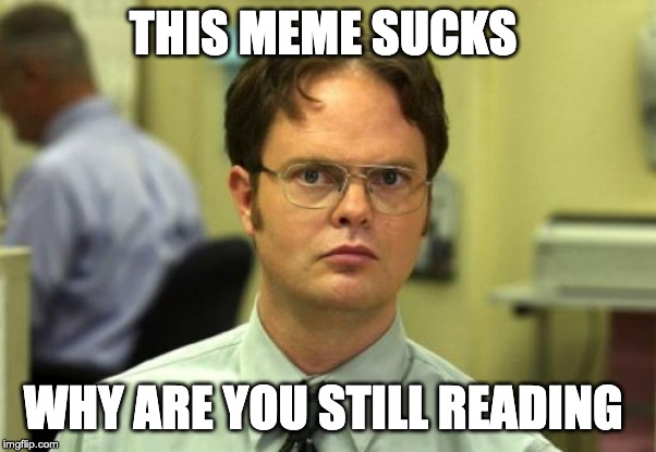 Dwight Schrute Meme | THIS MEME SUCKS; WHY ARE YOU STILL READING | image tagged in memes,dwight schrute | made w/ Imgflip meme maker