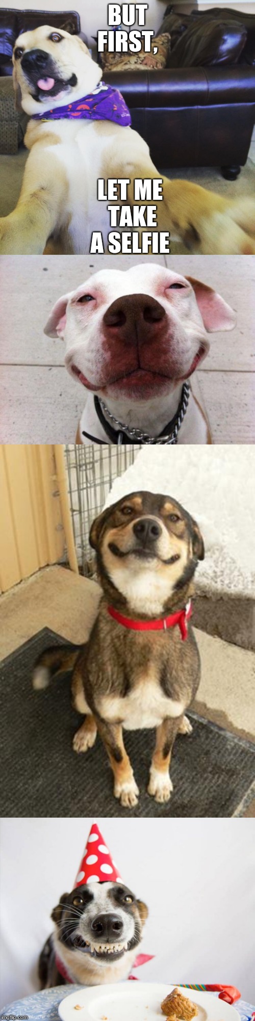 LET ME TAKE A SELFIE; BUT FIRST, | image tagged in dog smiling big,dog smile,funny dog meme,dog smile birthday | made w/ Imgflip meme maker