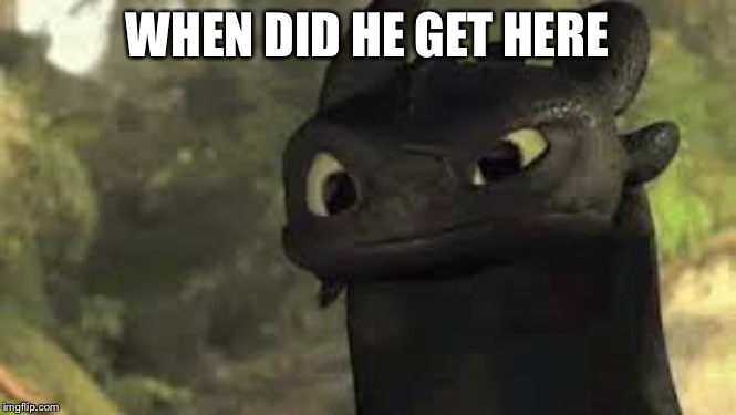 WHEN DID HE GET HERE | image tagged in confused toothless | made w/ Imgflip meme maker