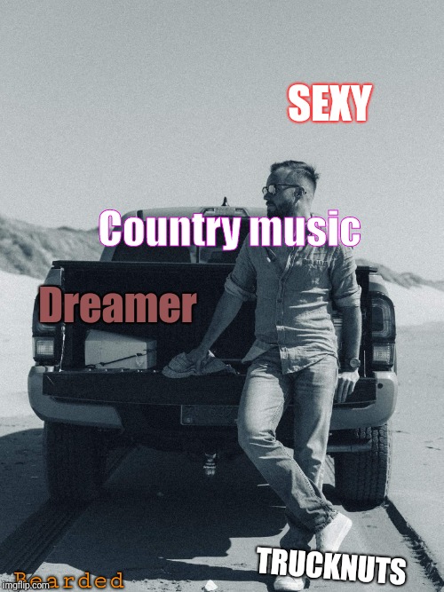 Manly Truck Man | SEXY; Country music; Dreamer; TRUCKNUTS; Bearded | image tagged in manly truck man | made w/ Imgflip meme maker