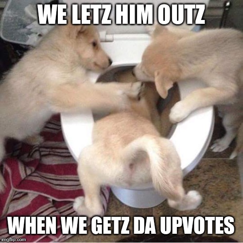 Toilet puppies | WE LETZ HIM OUTZ; WHEN WE GETZ DA UPVOTES | image tagged in toilet puppies | made w/ Imgflip meme maker