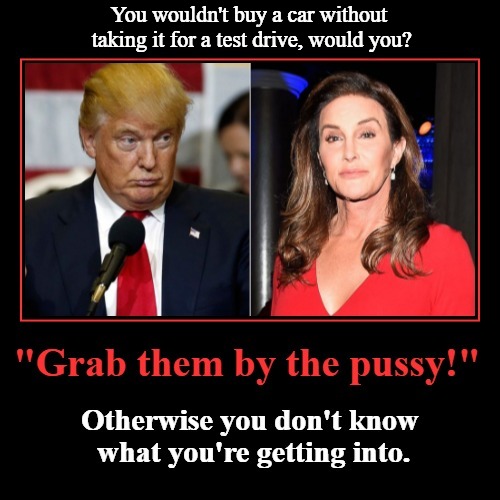 You wouldn't buy a car without taking it for a test drive, would you? | You wouldn't buy a car without taking it for a test drive, would you? | image tagged in grab them by the pussy,test drive,check the package,brucaitlyn jenner,rebuilt tranny,tired of hearing about transgenders | made w/ Imgflip meme maker