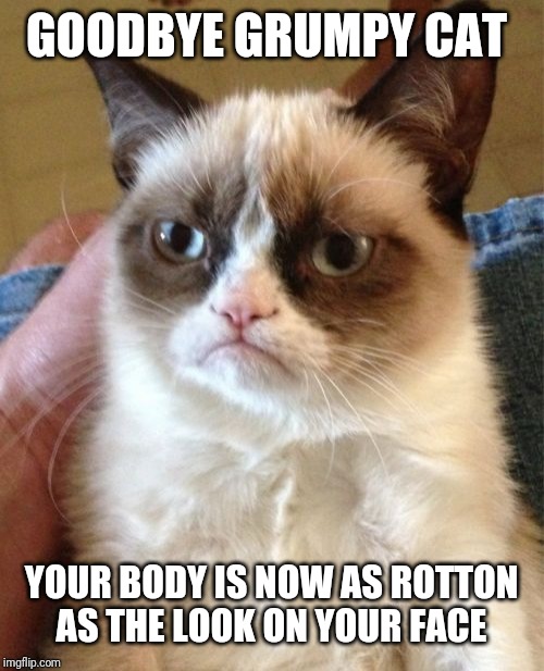 Grumpy Cat | GOODBYE GRUMPY CAT; YOUR BODY IS NOW AS ROTTON AS THE LOOK ON YOUR FACE | image tagged in memes,grumpy cat | made w/ Imgflip meme maker