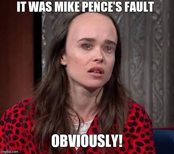 Page's landing strip | OBVIOUSLY! IT WAS MIKE PENCE'S FAULT | image tagged in page's landing strip | made w/ Imgflip meme maker