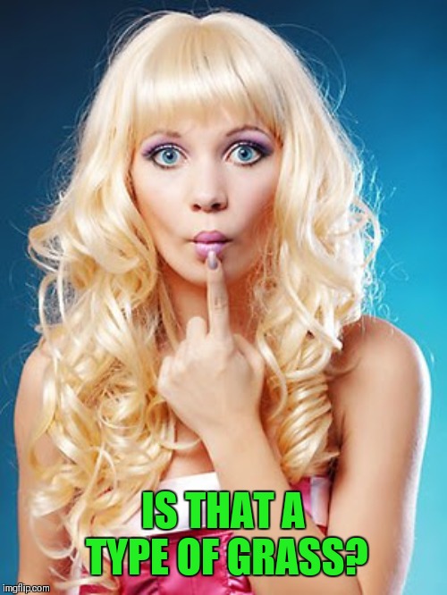 Dumb blonde | IS THAT A TYPE OF GRASS? | image tagged in dumb blonde | made w/ Imgflip meme maker