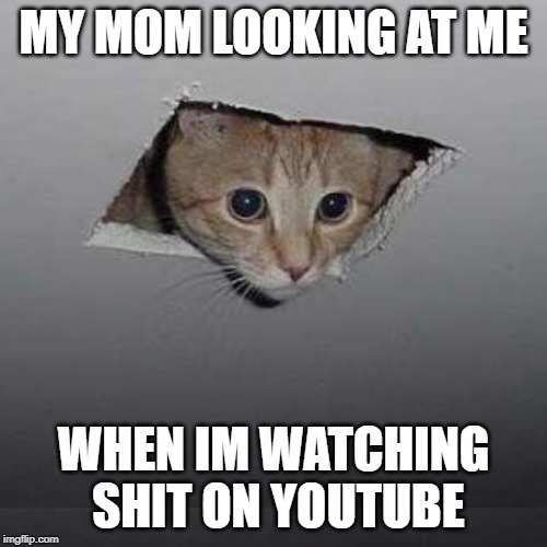 Ceiling Cat | MY MOM LOOKING AT ME; WHEN IM WATCHING SHIT ON YOUTUBE | image tagged in memes,ceiling cat | made w/ Imgflip meme maker