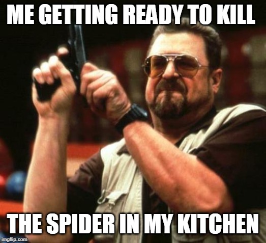 Kill the spider pls!!! | ME GETTING READY TO KILL; THE SPIDER IN MY KITCHEN | image tagged in gun | made w/ Imgflip meme maker