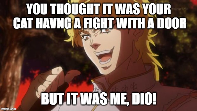 But it was me Dio | YOU THOUGHT IT WAS YOUR CAT HAVNG A FIGHT WITH A DOOR; BUT IT WAS ME, DIO! | image tagged in but it was me dio | made w/ Imgflip meme maker